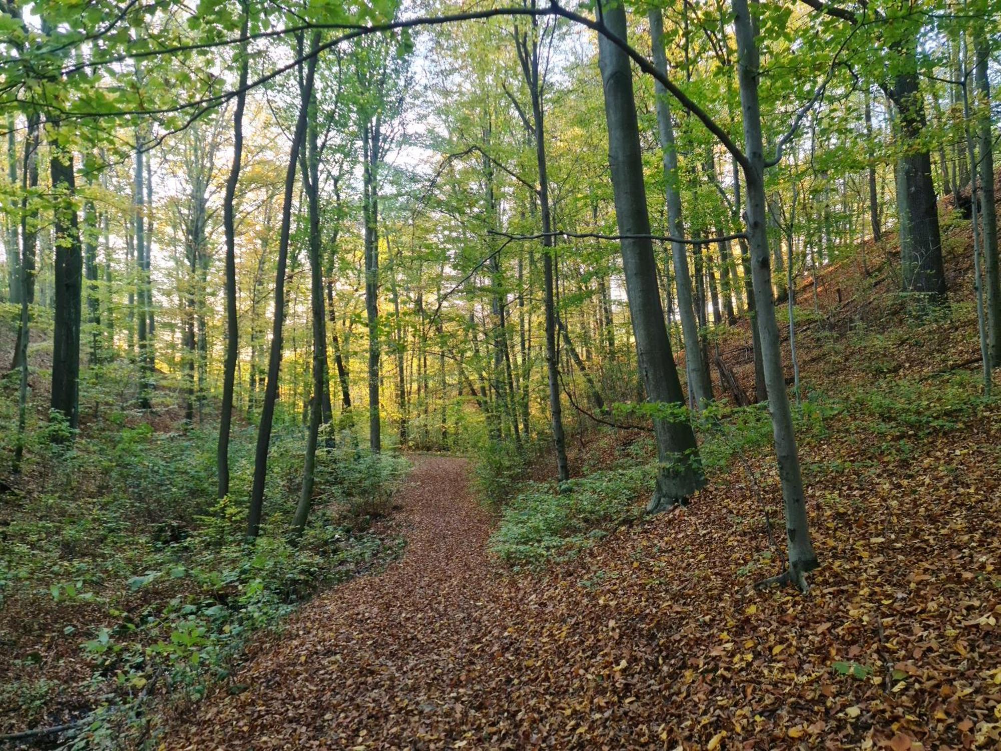 Gaestehaus Zum Rosengarten *